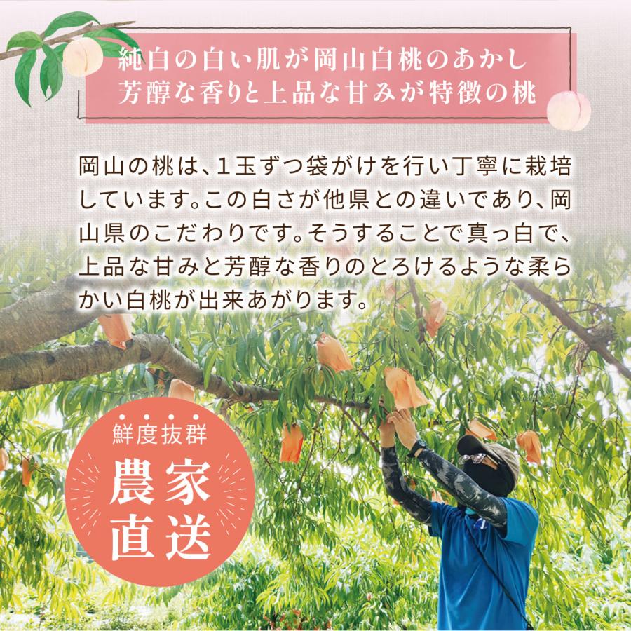 7月末より発送】【岡山県産】清水白桃・家庭用（2kg 6〜8玉） 贈答用