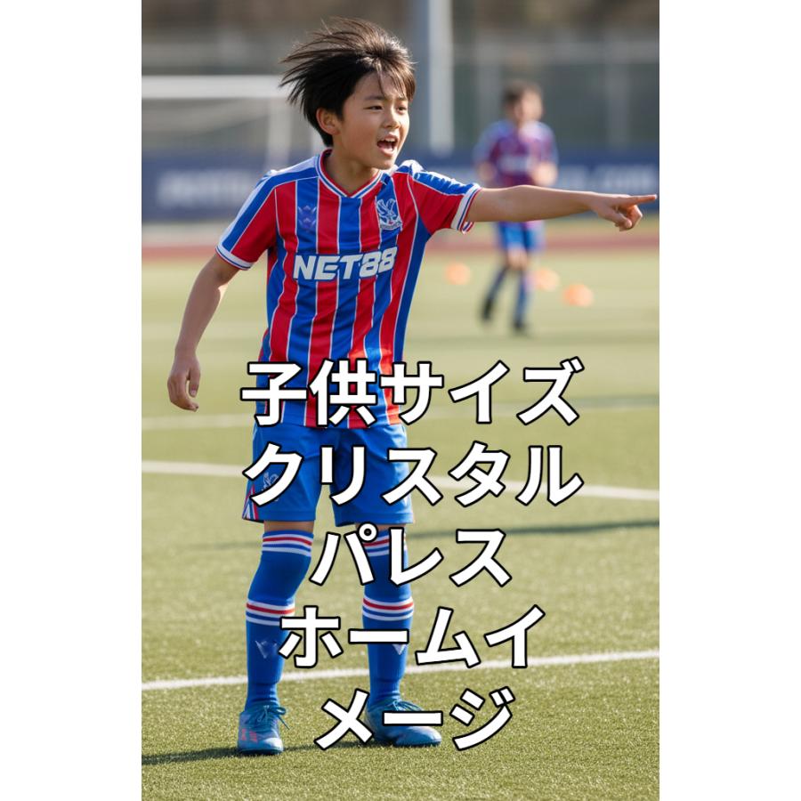 【正規品】鎌田大地 クリスタルパレス 24-25 長袖 アウェイユニフォーム 正規品】鎌田大地 クリスタルパレス 24-25 長袖 アウェイユニフォーム