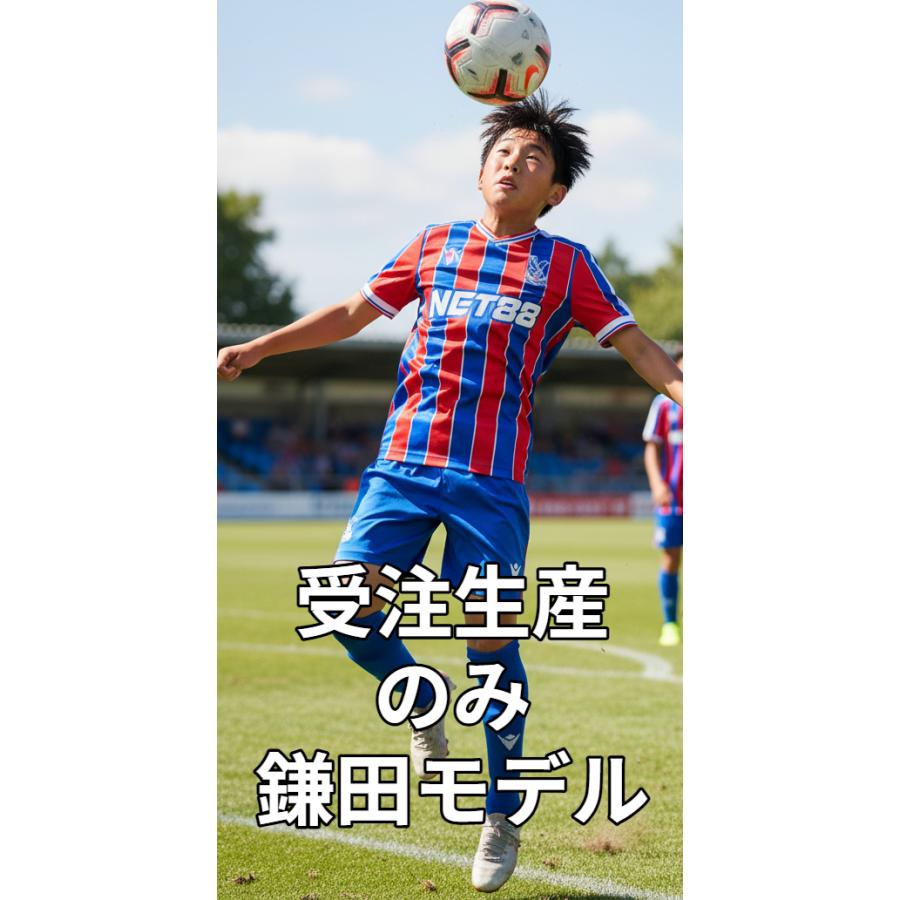 鎌田大地 ユニフォーム クリスタルパレス KIMO社製 ホームイメージ