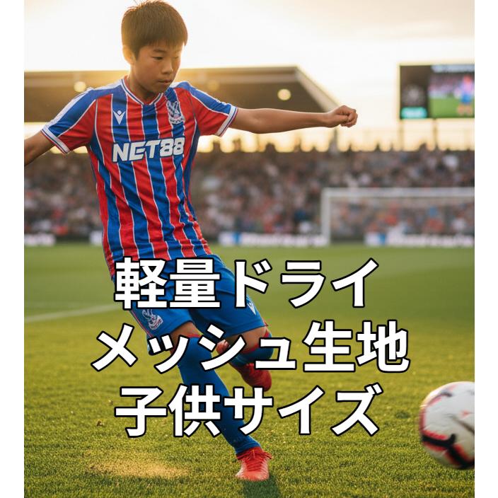 鎌田大地 ユニフォーム クリスタルパレス KIMO社製 ホームイメージ