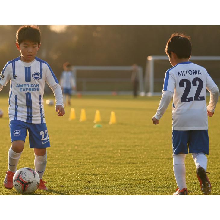 新品（子供用　Ｌ）ブライトン２２三笘薫選手 公式ユニホーム（Nike正規品） 三笘薫 ユニフォーム ブライトン ホームイメージ 袖のデザイン変更あり