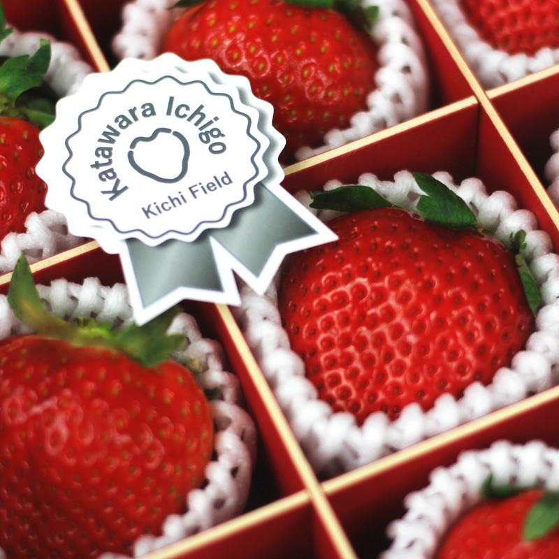 いちご イチゴ 苺 かたわらイチゴ プレミアム ギフト 贈答 贈り物 希少 大粒 新鮮 最高級 高級 摘みたて 香り お歳暮 お祝い 御礼 産地 直送 甘い あまい |  | 02