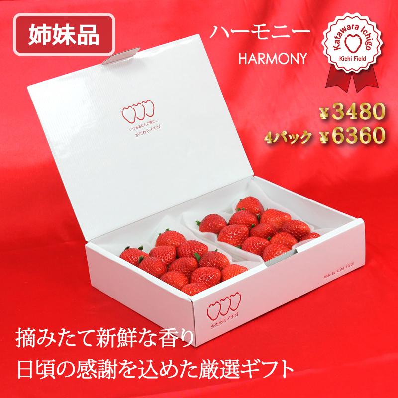 いちご イチゴ 苺 かたわらイチゴ プレミアム ギフト 贈答 贈り物 希少 大粒 新鮮 最高級 高級 摘みたて 香り お歳暮 お祝い 御礼 産地 直送 甘い あまい |  | 11
