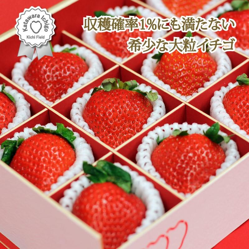 いちご イチゴ 苺 かたわらイチゴ プレミアム ギフト 贈答 贈り物 希少 大粒 新鮮 最高級 高級 摘みたて 香り お歳暮 お祝い 御礼 産地 直送 甘い あまい |  | 03