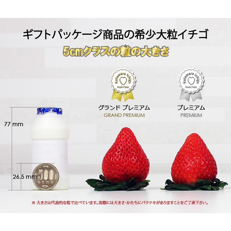 いちご イチゴ 苺 かたわらイチゴ プレミアム ギフト 贈答 贈り物 希少 大粒 新鮮 最高級 高級 摘みたて 香り お歳暮 お祝い 御礼 産地 直送 甘い あまい |  | 04