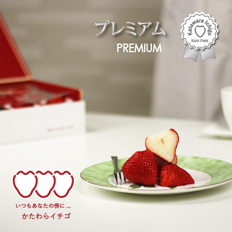 いちご イチゴ 苺 かたわらイチゴ プレミアム ギフト 贈答 贈り物 希少 大粒 新鮮 最高級 高級 摘みたて 香り お歳暮 お祝い 御礼 産地 直送 甘い あまい |  | 05
