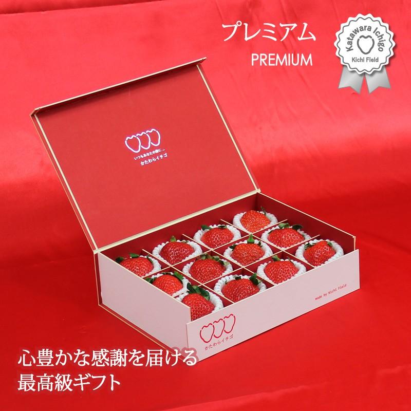 いちご イチゴ 苺 かたわらイチゴ プレミアム ギフト 贈答 贈り物 希少 大粒 新鮮 最高級 高級 摘みたて 香り お歳暮 お祝い 御礼 産地 直送 甘い あまい |  | 07