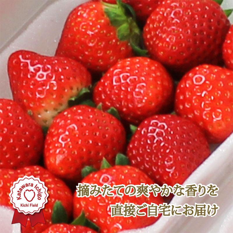 摘みたていちご いちご イチゴ 苺 かたわらイチゴ エンジョイ 家庭 自宅 パーティ 新鮮