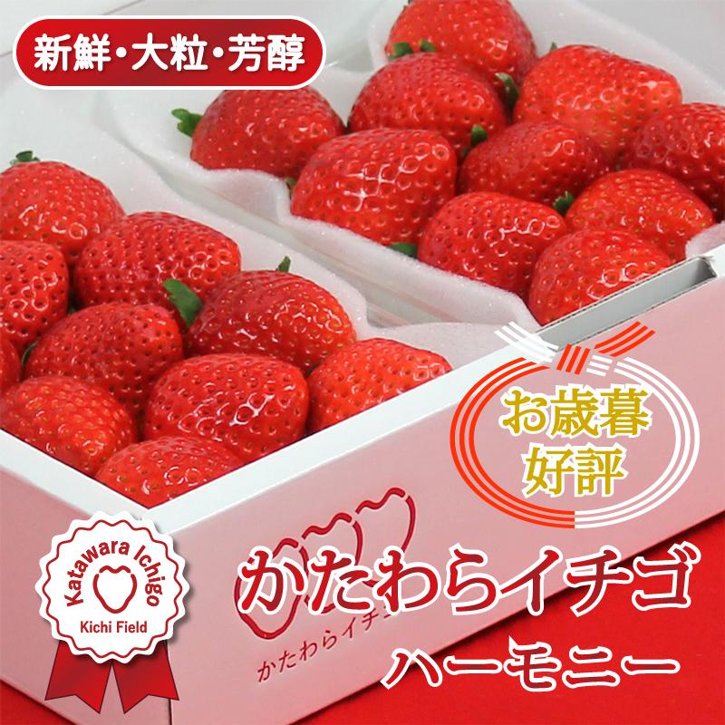 いちご イチゴ 苺　かたわらイチゴ ハーモニー ギフト 贈答 贈り物  希少 新鮮 高級 摘みたて フレッシュ 芳醇 香り お歳暮 お祝い 産地 直送 大粒 甘い あまい | 