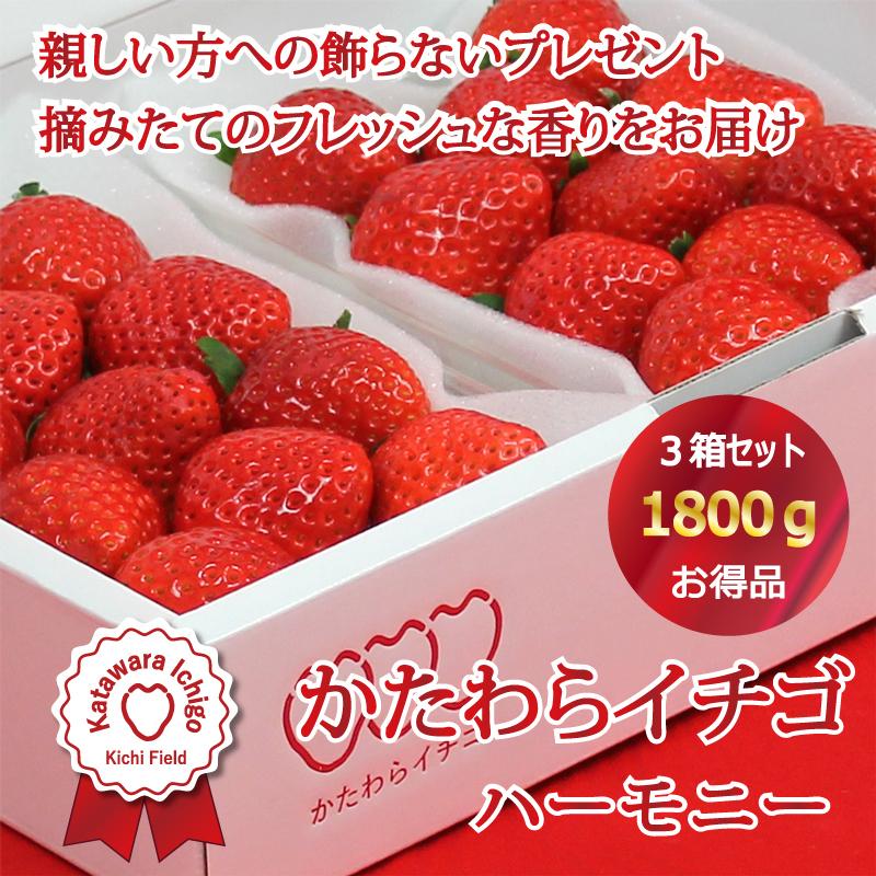 いちご イチゴ 苺 かたわらイチゴ ハーモニー ギフト 贈答 贈り物 希少