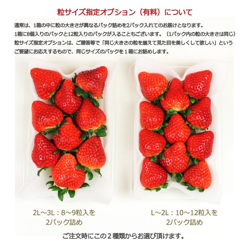 いちご イチゴ 苺 かたわらイチゴ ハーモニー ギフト 贈答 贈り物 希少