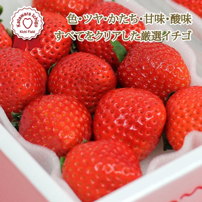 いちご イチゴ 苺　かたわらイチゴ ハーモニー ギフト 贈答 贈り物  希少 新鮮 高級 摘みたて フレッシュ 芳醇 香り お歳暮 お祝い 産地 直送 大粒 甘い あまい |  | 02