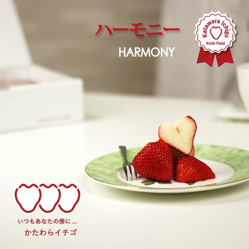 いちご イチゴ 苺　かたわらイチゴ ハーモニー ギフト 贈答 贈り物  希少 新鮮 高級 摘みたて フレッシュ 芳醇 香り お歳暮 お祝い 産地 直送 大粒 甘い あまい |  | 03