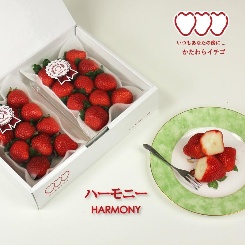 いちご イチゴ 苺　かたわらイチゴ ハーモニー ギフト 贈答 贈り物  希少 新鮮 高級 摘みたて フレッシュ 芳醇 香り お歳暮 お祝い 産地 直送 大粒 甘い あまい |  | 04