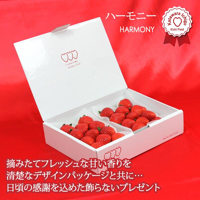 いちご イチゴ 苺　かたわらイチゴ ハーモニー ギフト 贈答 贈り物  希少 新鮮 高級 摘みたて フレッシュ 芳醇 香り お歳暮 お祝い 産地 直送 大粒 甘い あまい |  | 05
