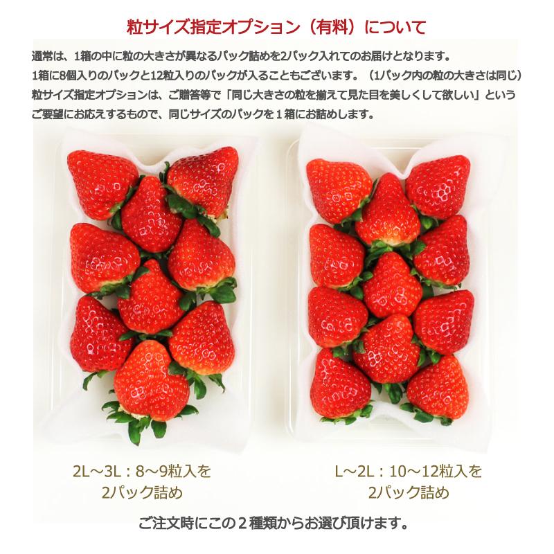 いちご イチゴ 苺　かたわらイチゴ ハーモニー ギフト 贈答 贈り物  希少 新鮮 高級 摘みたて フレッシュ 芳醇 香り お歳暮 お祝い 産地 直送 大粒 甘い あまい |  | 07