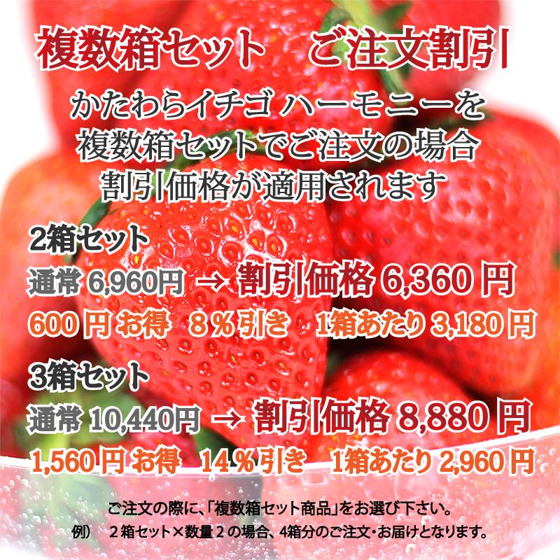 いちご イチゴ 苺　かたわらイチゴ ハーモニー ギフト 贈答 贈り物  希少 新鮮 高級 摘みたて フレッシュ 芳醇 香り お歳暮 お祝い 産地 直送 大粒 甘い あまい |  | 08