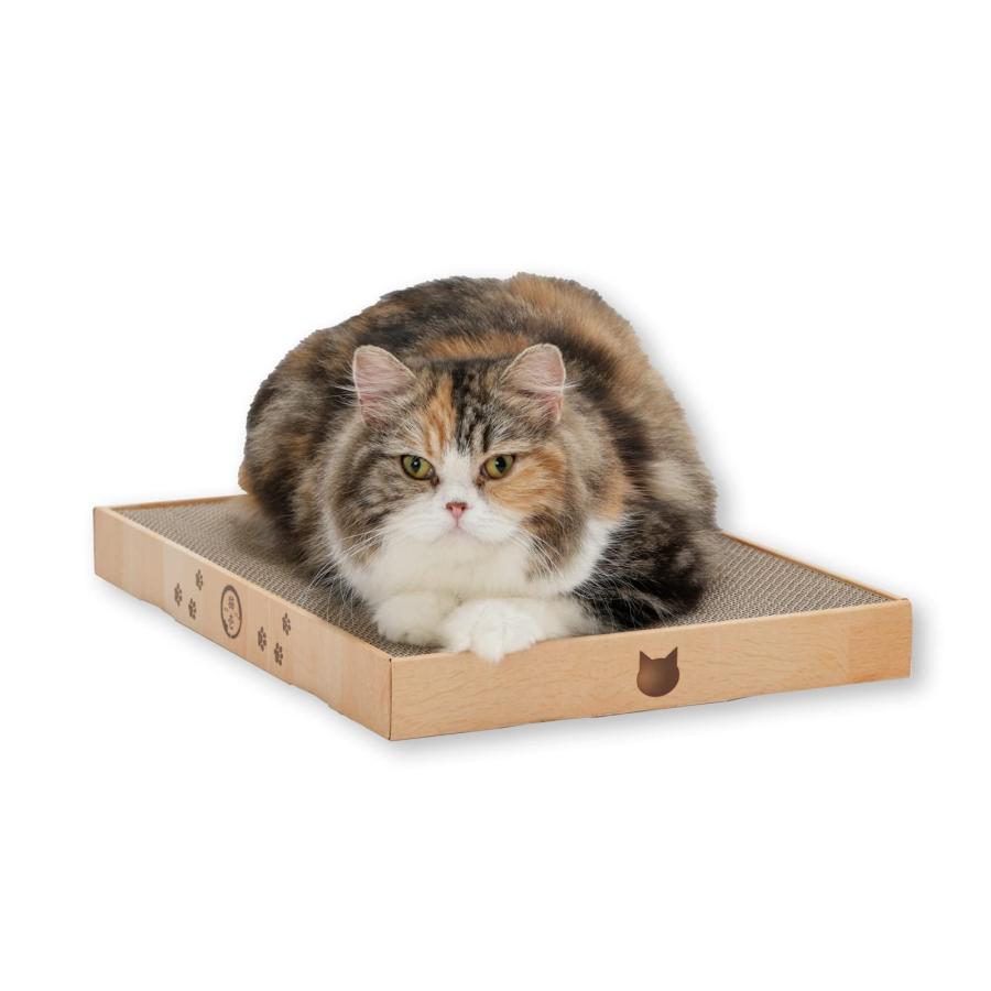 猫壱(necoichi)バリバリパッド ワイドプラス (ライトブラウン) ネコ用（Yahoo!・きちべい）