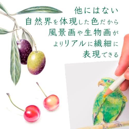 トンボ鉛筆 色鉛筆 100色 (ブック型) 色辞典 全色セット (あらゆる自然