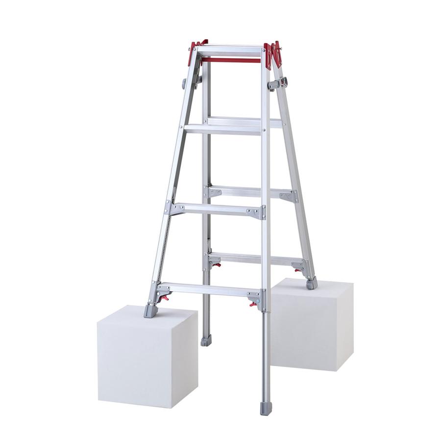 「kiki様用２点まとめて 」h,a長谷川潔の限定500部【 野辺小禽 】 長谷川潔｢野辺小禽｣ | 山田書店美術部オンラインストア