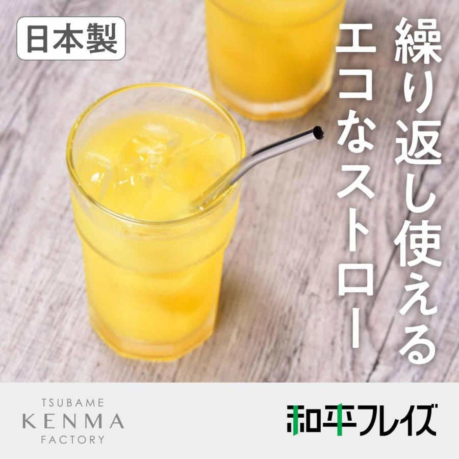 和平フレイズ ステンレスストロー 2本組 ブラシ付き 日本製 燕研磨