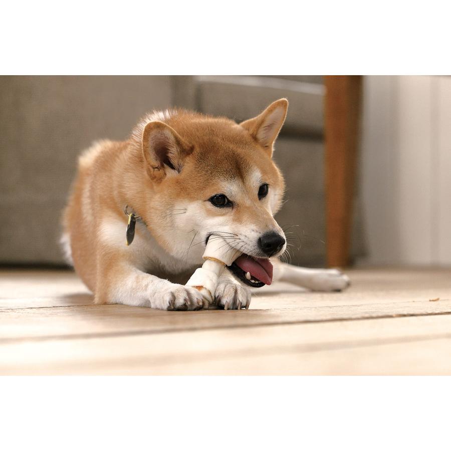ディンゴ (Dingo) 犬 おやつ ミート・イン・ザ・ミドル オリジナル