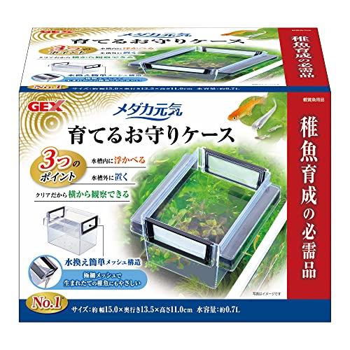 ジェックス GEX ポリスチレン メダカ元気 育てるお守りケース 稚魚育成の必需品 水替え簡単（Yahoo!・Kichibei店）