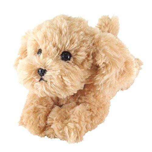 ひざわんこ トイプードル ベージュ ぬいぐるみ S P-3042 : Kichibei店