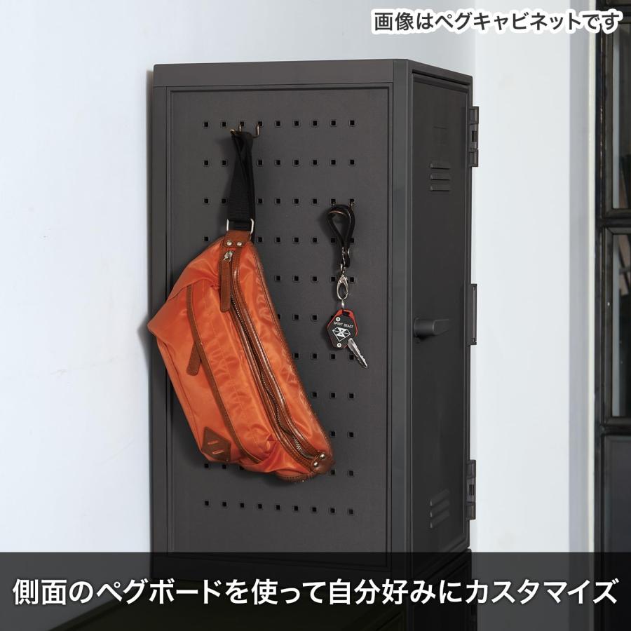 天馬(Tenma) ロッカー型収納ボックス フィッツ ペグキャビネット