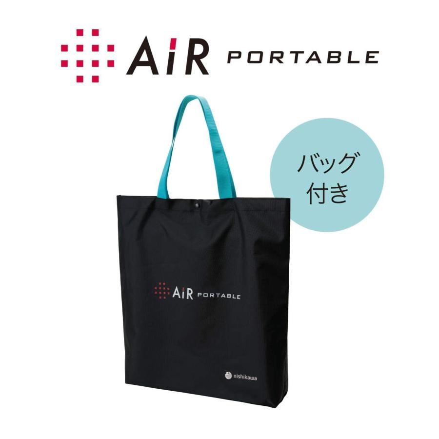 nishikawa 【 西川 】 [エアー] エアー ポータブル クッション 40X40cm