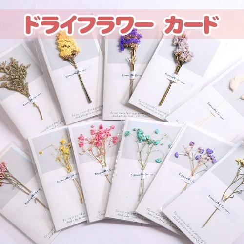 新品 カード ドライフラワー カード 1個入り 花 かわいい 母の日 父の日 プレゼント ギフト お祝い 花言葉 メッセージカード 送料無料 Dryflower Card1 はんこ工房 通販 Yahoo ショッピング