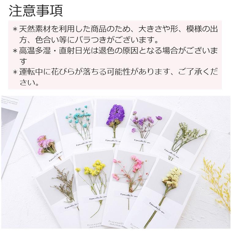 新品 カード ドライフラワー カード 1個入り 花 かわいい 母の日 父の日 プレゼント ギフト お祝い 花言葉 メッセージカード 送料無料 Dryflower Card1 はんこ工房 通販 Yahoo ショッピング