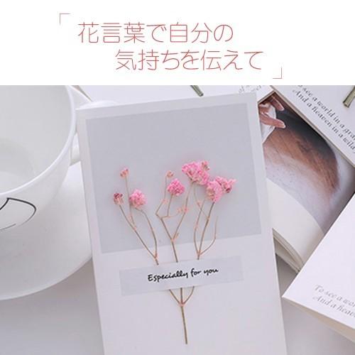 新品 カード ドライフラワー カード 1個入り 花 かわいい 母の日 父の日 プレゼント ギフト お祝い 花言葉 メッセージカード 送料無料 Dryflower Card1 はんこ工房 通販 Yahoo ショッピング