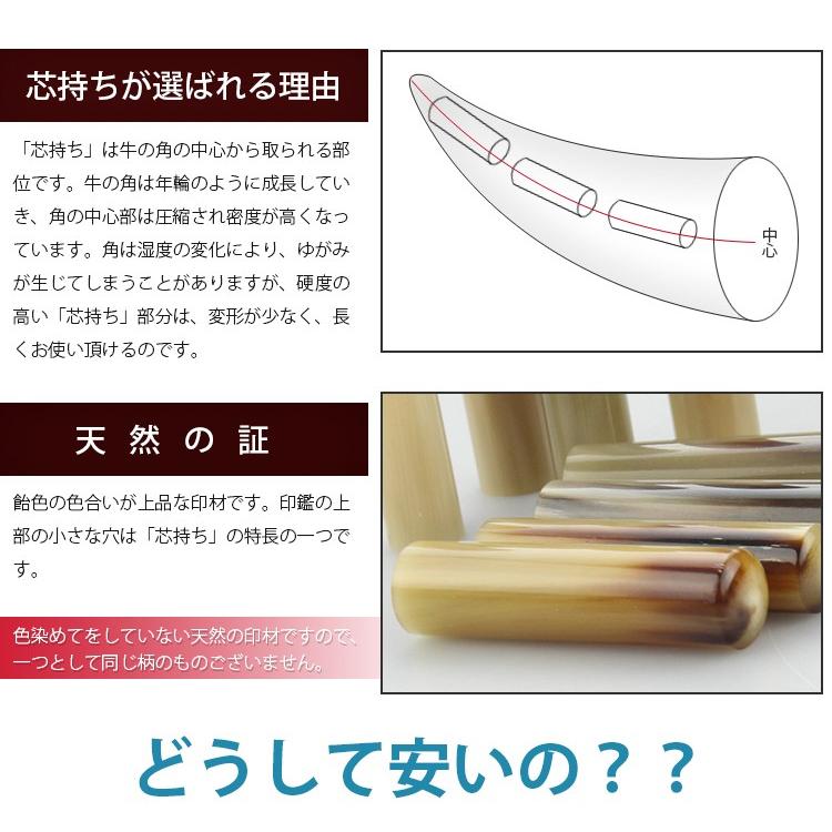 印鑑 はんこ 即日発送 高級オランダ水牛【中色】実印 単品 あすつく