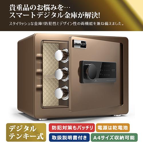 期間限定セール★金庫 家庭用 おしゃれ 盗難防止 保管庫 小型 防犯金庫 電子ロック 暗証番号 店舗用 中型 防犯対策 アンカーボルト付き 31×20×20cm |  | 01