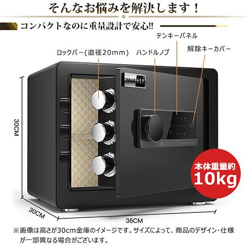 期間限定セール★金庫 家庭用 おしゃれ 盗難防止 保管庫 小型 防犯金庫 電子ロック 暗証番号 店舗用 中型 防犯対策 アンカーボルト付き 31×20×20cm |  | 03