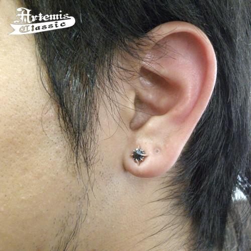 Artemis Classic（アルテミスクラシック） Artemis Classic RAYピアス