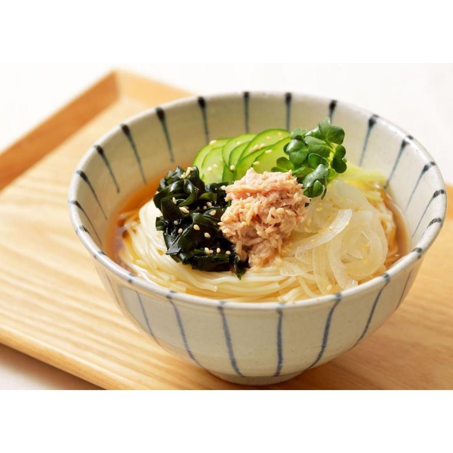 62 Off 金印白石温麺 100g 4束 Wantannas Go Id