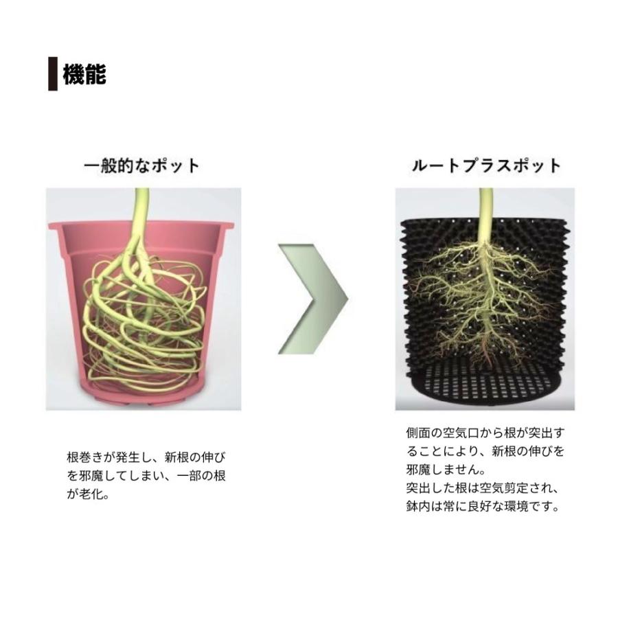 ルートプラスポットへの植栽おすすめしてます。 ルートプラスポット 110L 20個セット : 吉瀬園芸 - 通販