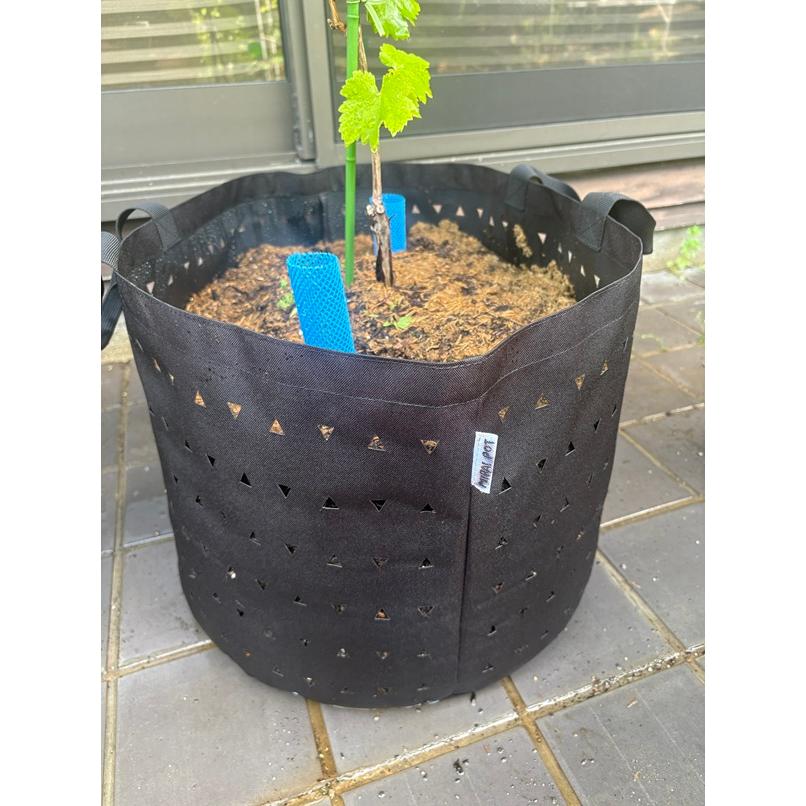 MIRAI POT OX 26.4L/12号 2枚セット : 吉瀬園芸 - 通販 - Yahoo