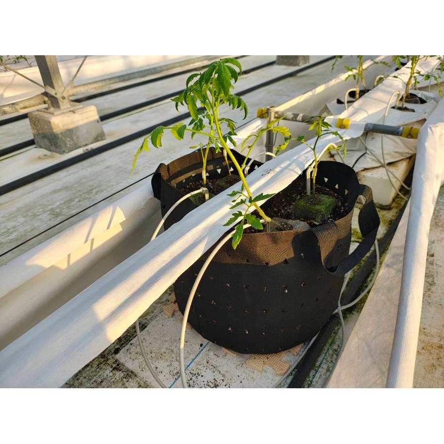MIRAI POT OX 26.4L/12号 2枚セット : 吉瀬園芸 - 通販 - Yahoo