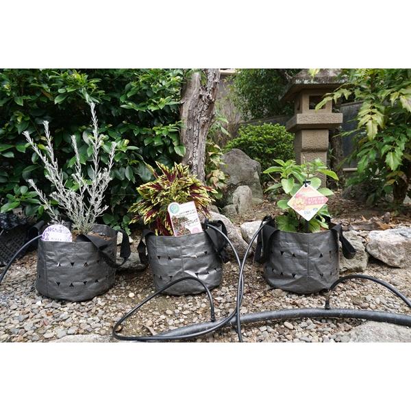 MIRAI POT X 3.8L/6号 : 吉瀬園芸 - 通販 - Yahoo!ショッピング