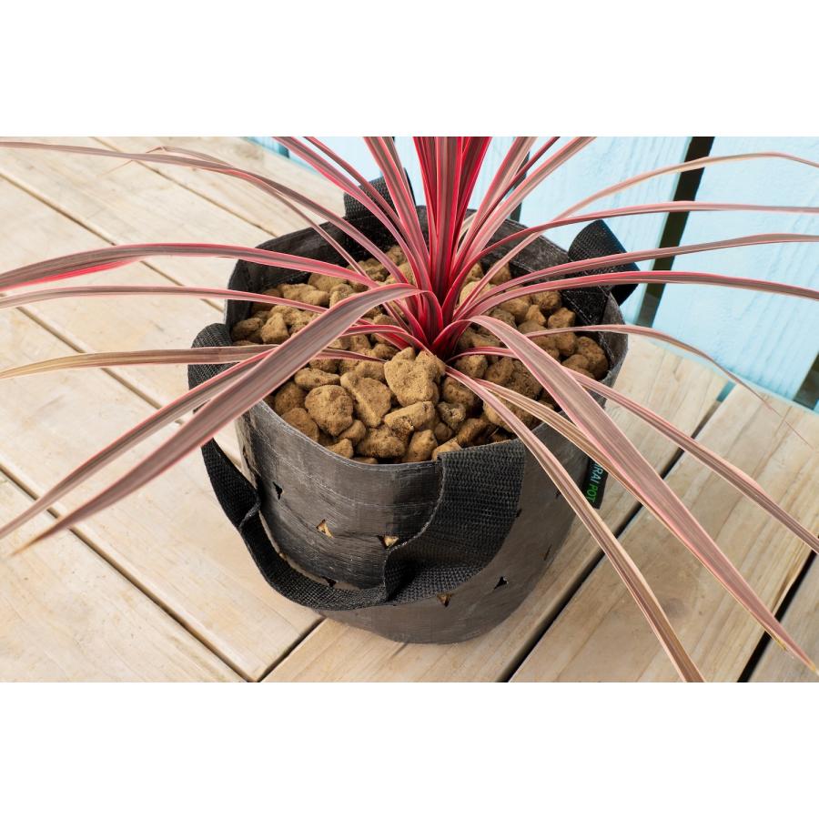 MIRAI POT X 3.8L/6号 3枚セット : 吉瀬園芸 - 通販 - Yahoo!ショッピング