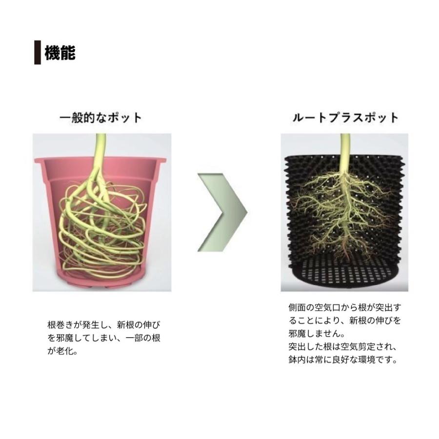 ルートプラスポット 110L 20個セット : 吉瀬園芸 - 通販 - Yahoo