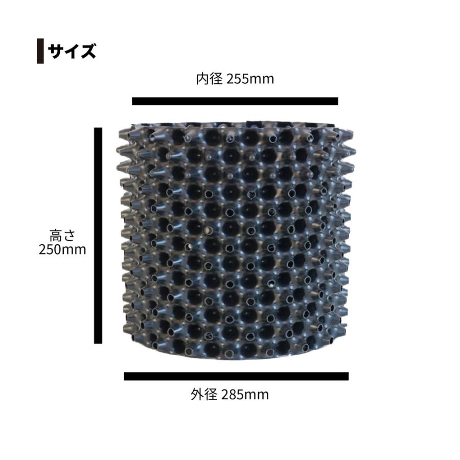 シルバーティーツリー　ルートプラスポット入り/ 559 シルバーティーツリー ルートプラスポット入り/ 559 苗木・植木