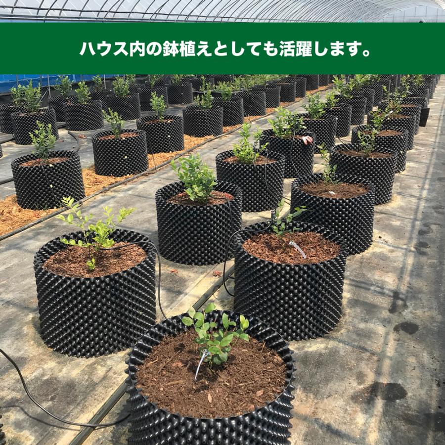 ルートプラスポット 36L 25個セット : 吉瀬園芸 - 通販 ルートプラスポット 36L 25個セット : 吉瀬園芸 - 通販