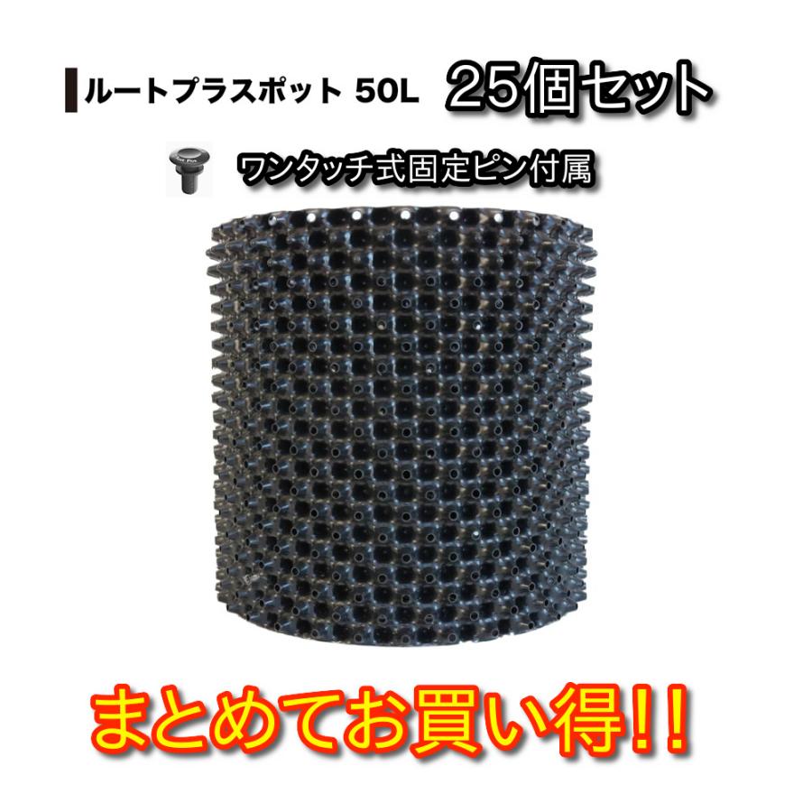 ＫＫＢさん専用 ポポラス　ルートプラスポット2枚追加　/ 674 suke-25-145.jpg