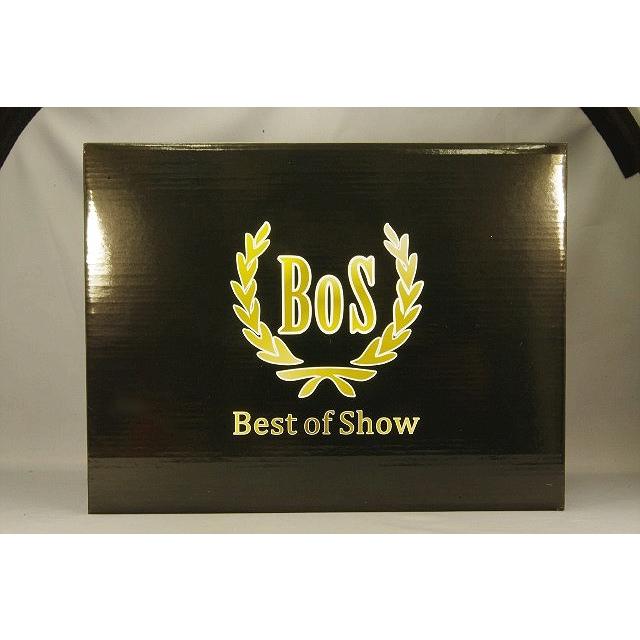 ミニカー/完成品 BoS Models 1/18 オペル RAK2 1928 ブラック |  | 03