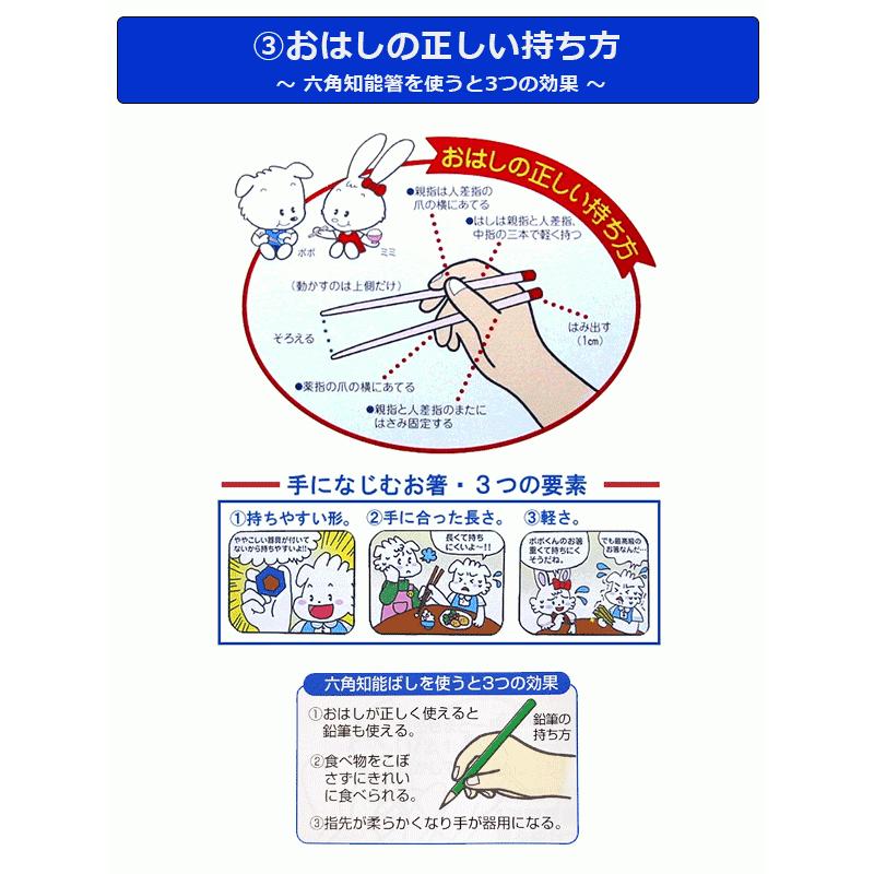 六角知能箸 子供用 箸 日本製 無地（キャラクターなし） すべらない竹箸 箸匠せいわ 日本製箸 13〜19センチ 4色 ネコポス あすつく｜kids-m-yh｜06