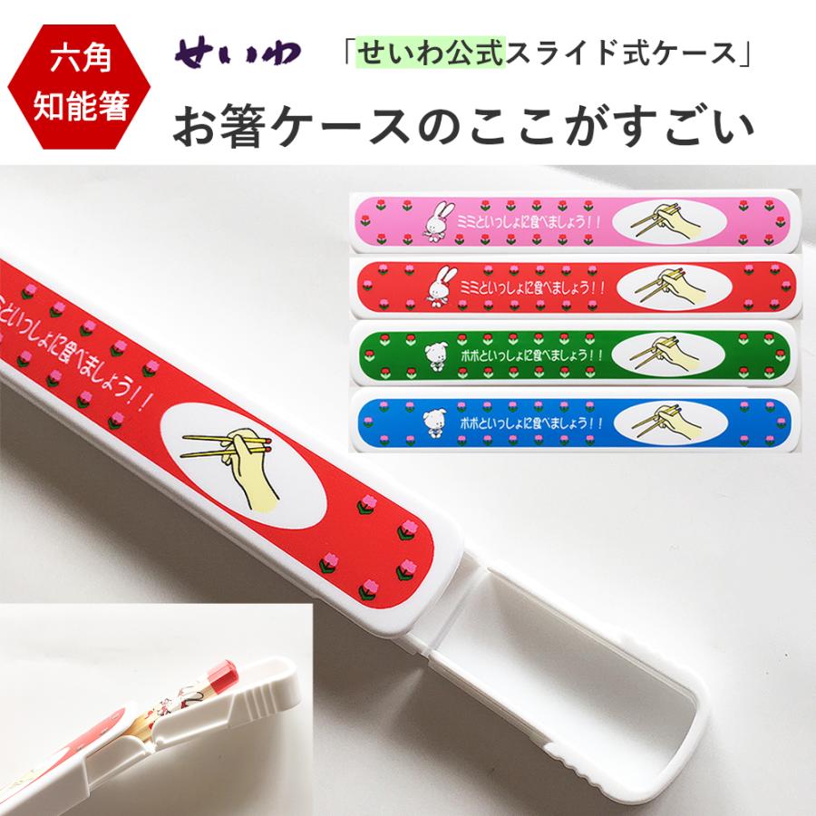 六角知能箸 箸 子供用 箸2膳セットと箸ケース すべらない竹箸 日本製